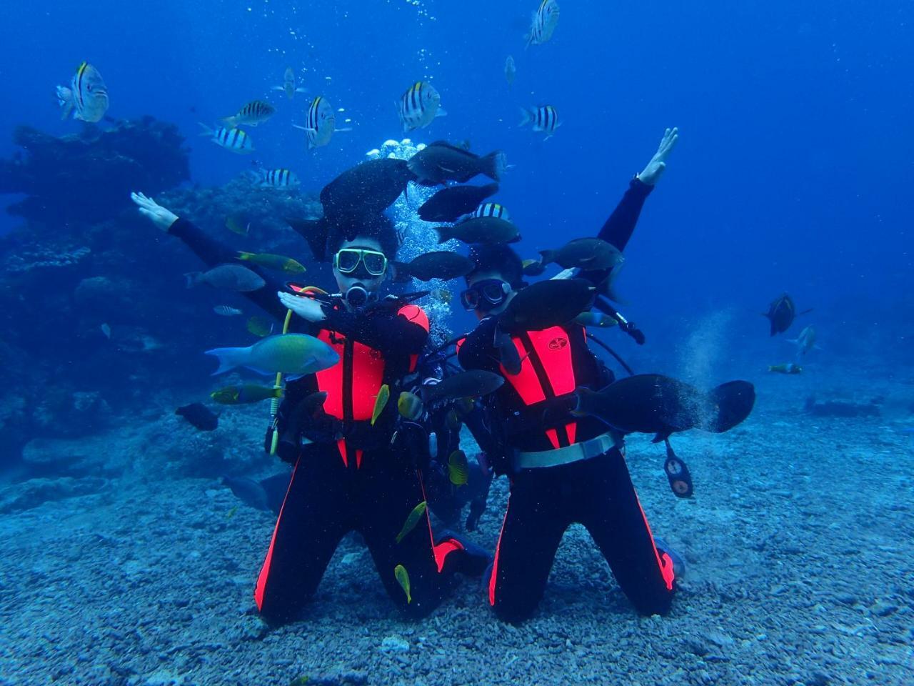 Qing Feng Diving B&B 绿岛 外观 照片