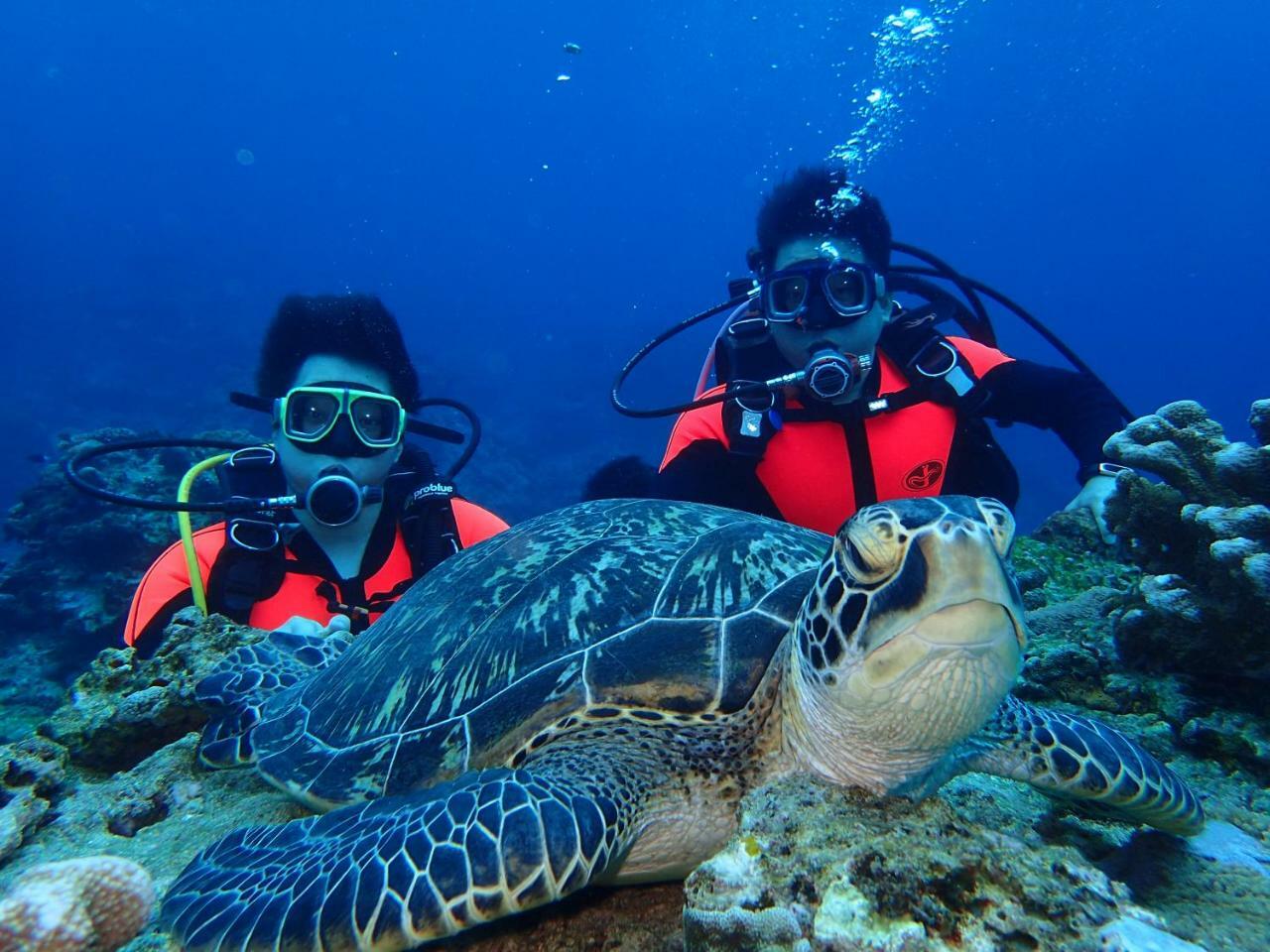 Qing Feng Diving B&B 绿岛 外观 照片